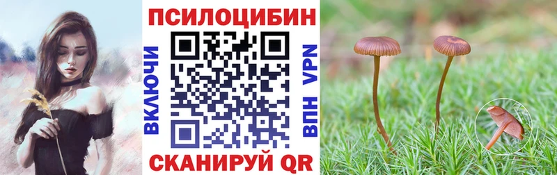 Галлюциногенные грибы Psilocybine cubensis Петровск